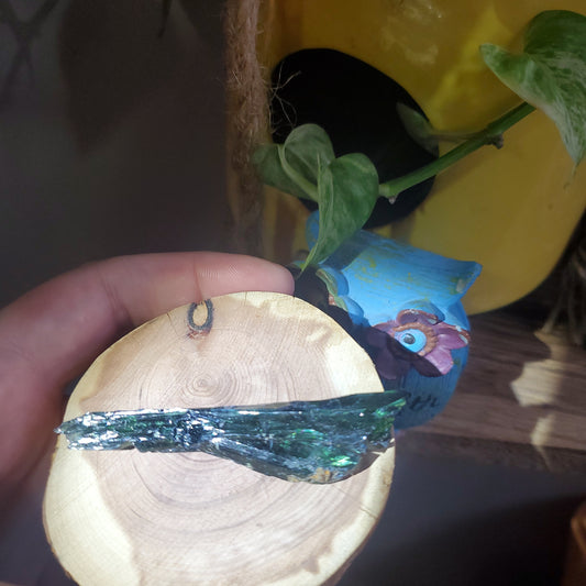 Vivianite helps digestion, trauma, is an anti-inflammatory and brings energy