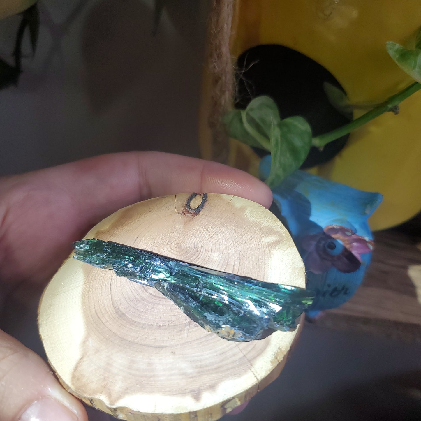 Vivianite helps digestion, trauma, is an anti-inflammatory and brings energy