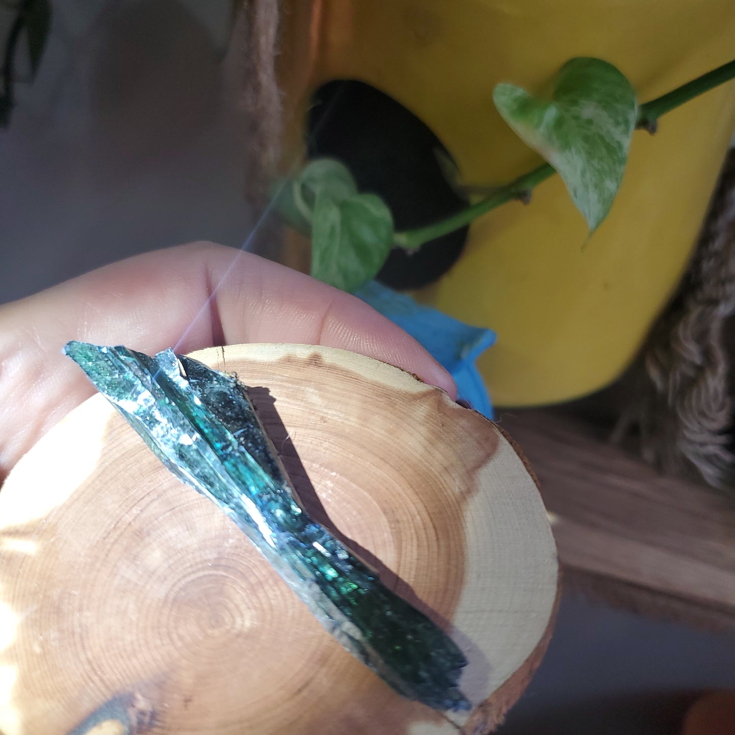 Vivianite helps digestion, trauma, is an anti-inflammatory and brings energy