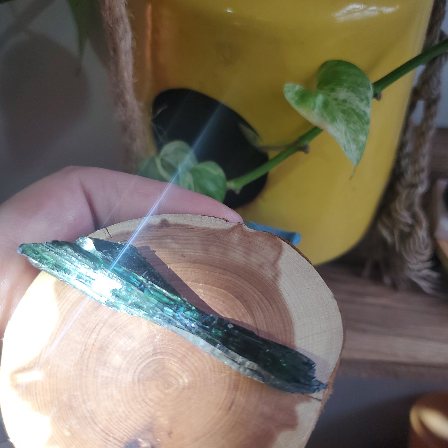 Vivianite helps digestion, trauma, is an anti-inflammatory and brings energy